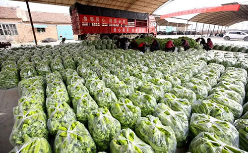 我是湖南長沙蔬菜批發市場，買多少錢的農藥殘留檢測儀合適？